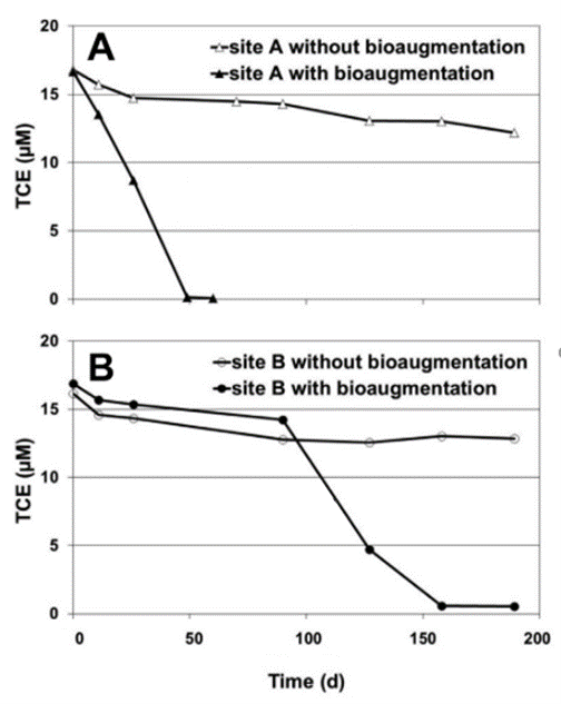 Aerobic, metabolic TCE degradation in microcosm studies with groundwater from two different sites with and without bioaugmentation (adapted from Gaza et al. 2019, DOI: 10.1016/j.watres.2018.12.022)